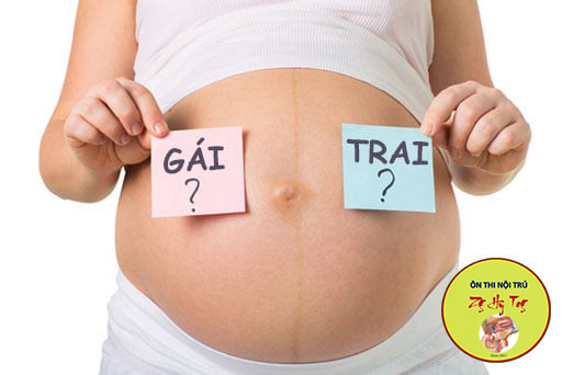 Biết giới tính thai nhi khi mới… 7 tuần tuổi