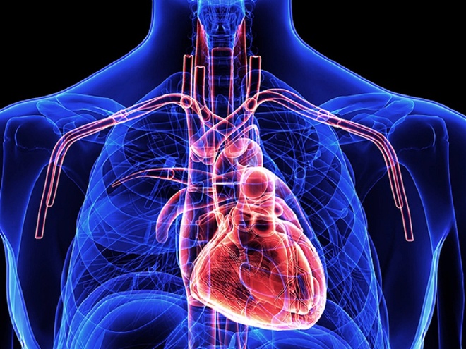 3 bệnh tim người cao tuổi hay gặp vào mùa lạnh và cách bảo vệ