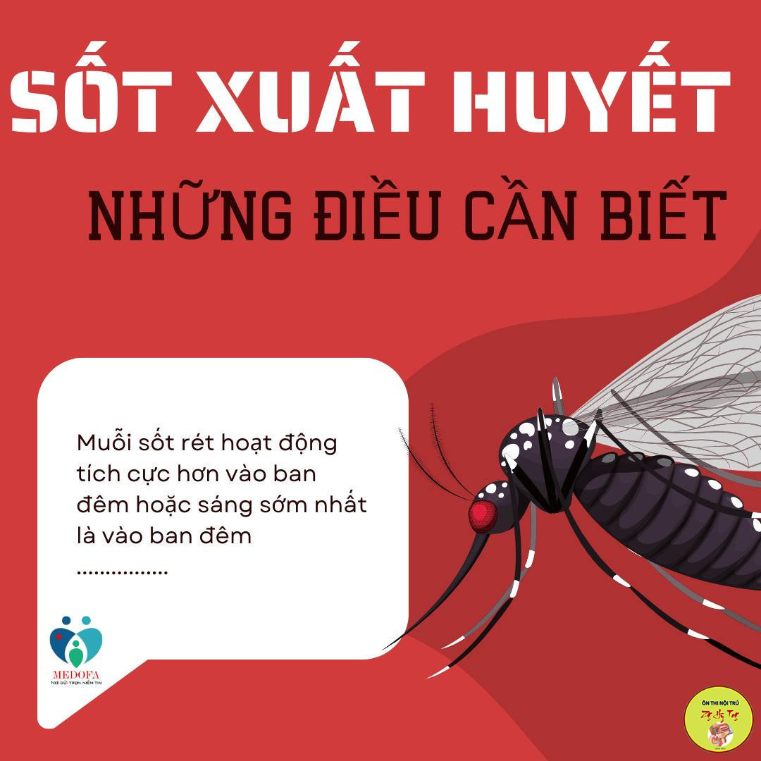 Khi Nào Cần Xét Nghiệm Sốt Xuất Huyết?